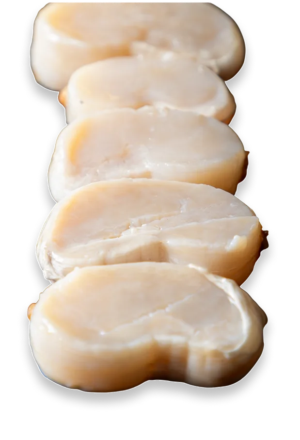 Decorative background